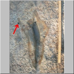 102_6631 (2013-08-11) core-location.jpg